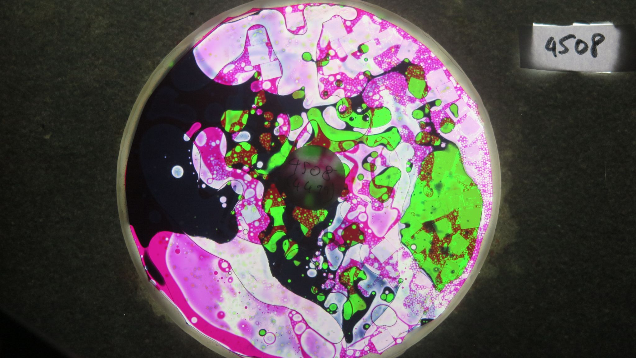 BV4508 bubble vision oil whee